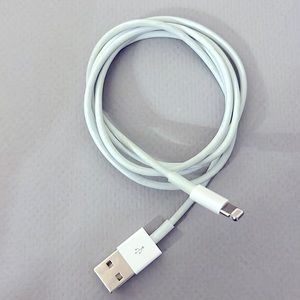 iPhone charger